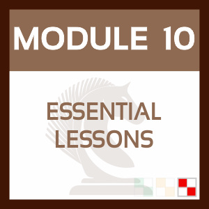 Teachers Chaos to Control MODULE 10 - Essential Lessons