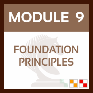 Teachers Chaos to Control MODULE 9 - Foundation Principles